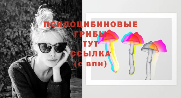 мяу мяу мука Ладушкин