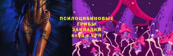 бошки Лабытнанги