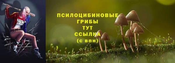 бошки Лабытнанги