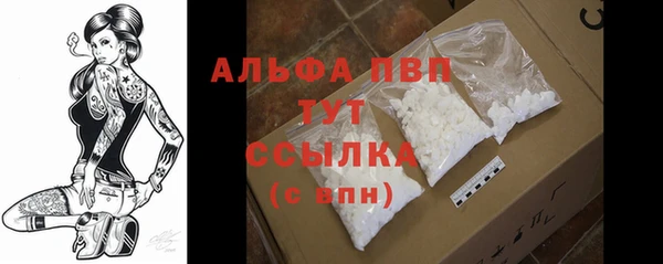 мяу мяу мука Ладушкин