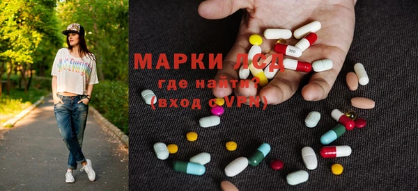 ГАЛЛЮЦИНОГЕННЫЕ ГРИБЫ Лагань