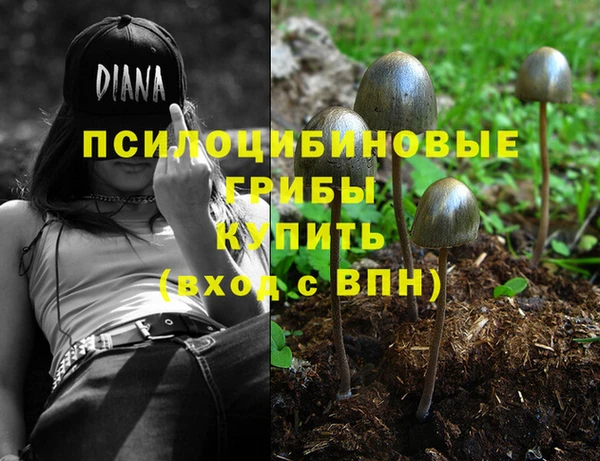 мдма Краснослободск