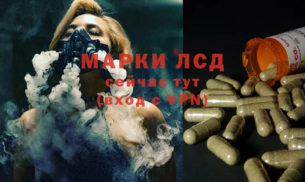 бошки Лабытнанги