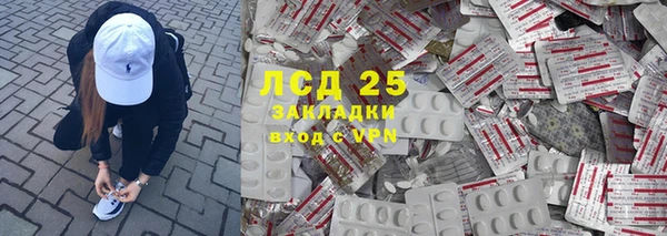 ГАЛЛЮЦИНОГЕННЫЕ ГРИБЫ Лагань