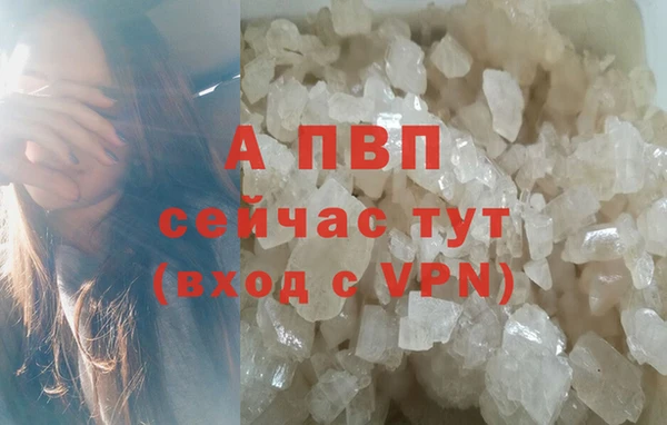 мяу мяу мука Ладушкин